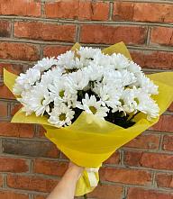 Букет цветов из:  Хризантемы #REPLACE_PRED# Красный путь