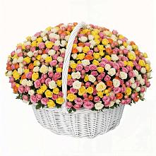 Премиум букет из: Розы #REPLACE_PRED# Красный путь