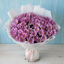 Букет цветов из:  Хризантемы в Красный путь