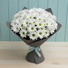 Букет цветов из:  Хризантемы в Красный путь