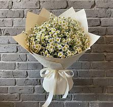 Букет цветов из:  Ромашки #REPLACE_PRED# Красный путь