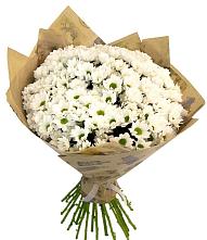 Букет цветов из:  Хризантемы #REPLACE_PRED# Красный путь