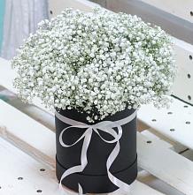 Цветочная композиция из Гипсофила в шляпной коробке #REPLACE_PRED# Красный путь