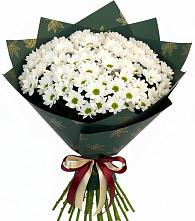 Букет цветов из:  Хризантемы #REPLACE_PRED# Красный путь