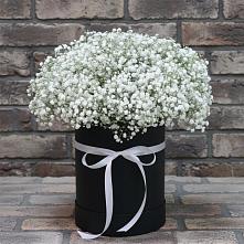 Цветочная композиция из Гипсофила в шляпной коробке #REPLACE_PRED# Красный путь