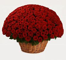Премиум букет из: Розы в Красный путь