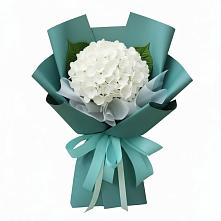 Букет цветов из:  Гортензия в Красный путь